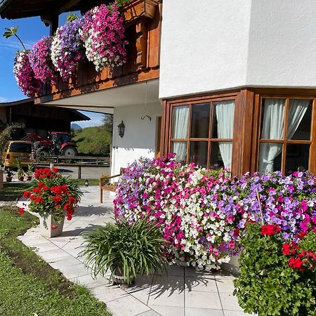 Gaestehaus Seeklause شفانغو المظهر الخارجي الصورة